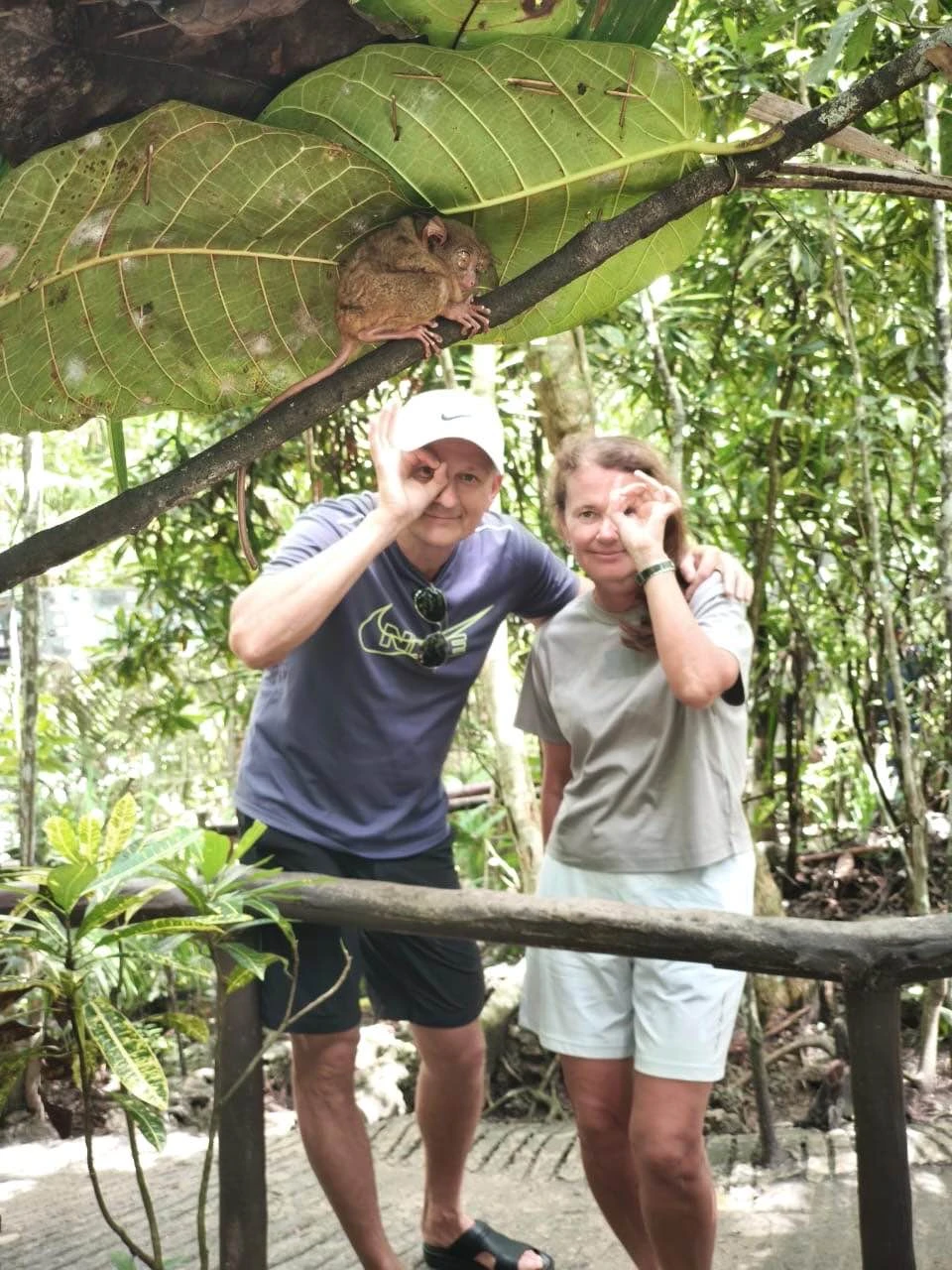 Экскурсия на Бохол была познавательной и интересной. Дмитрий ответил на все интересующие нас вопросы. Программа составлена