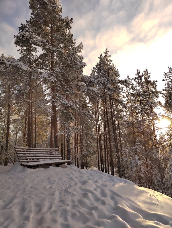 На снегоступах - по Заонежскому заказнику (из Петрозаводска)