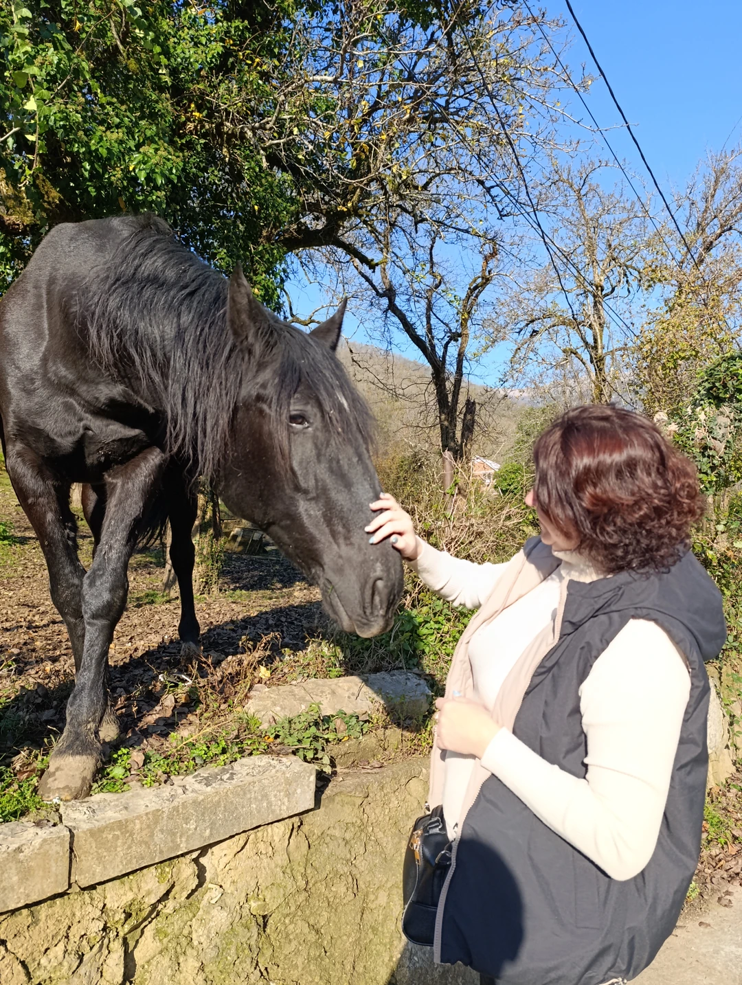 Доброго времени суток!