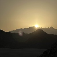 reviews img