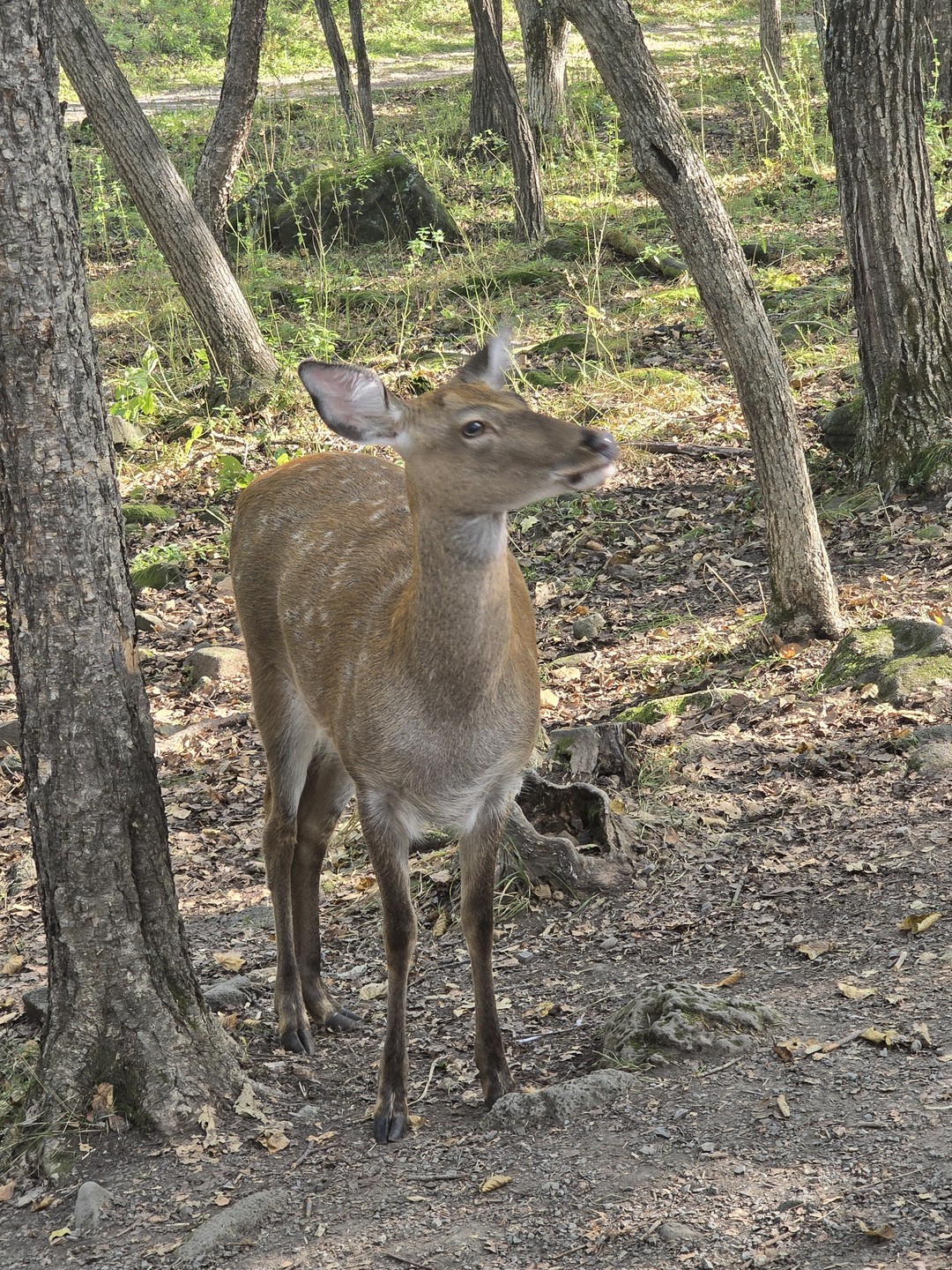 Гид/экскурсовод Анастасия