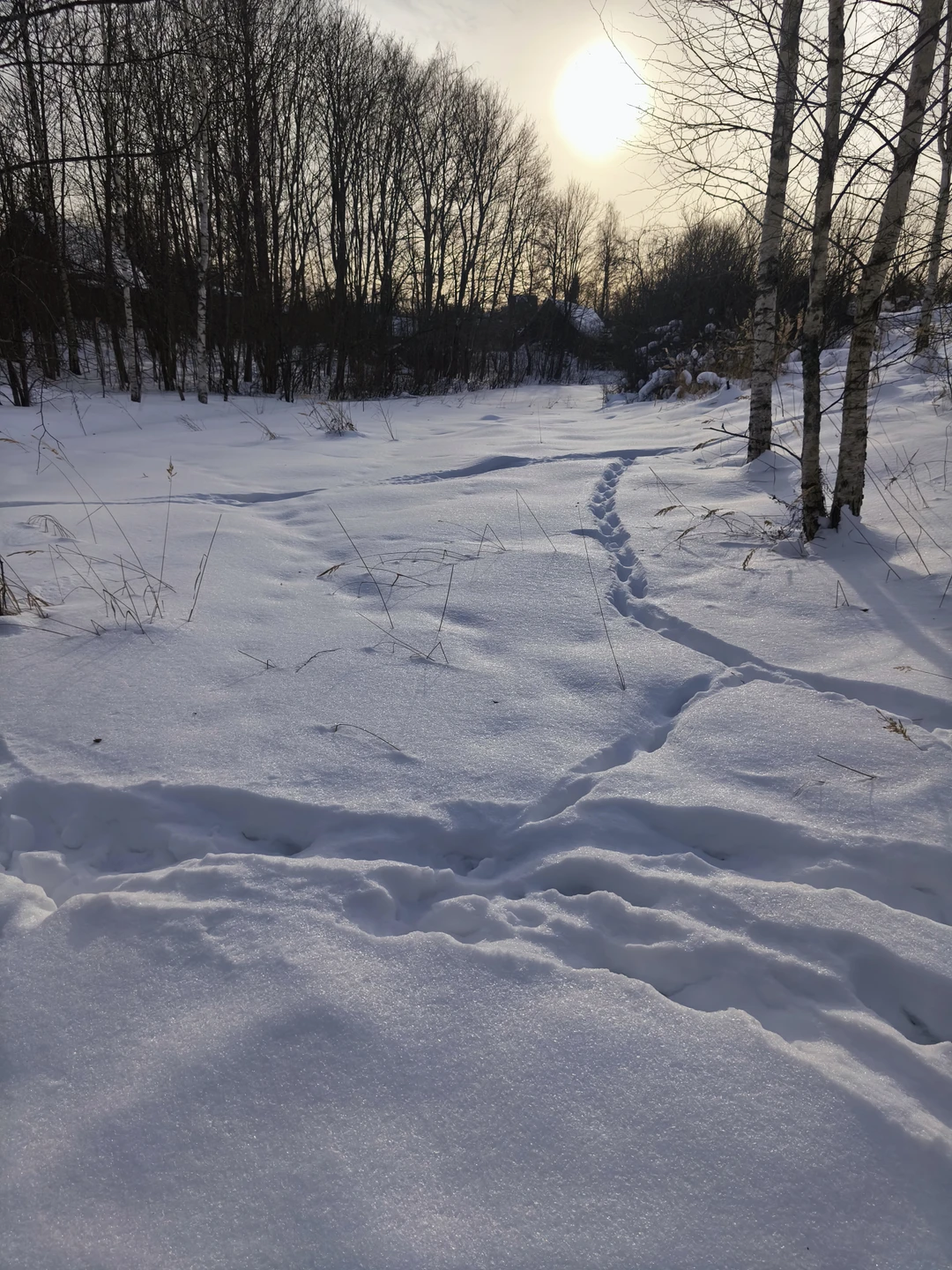 Проводили длинные выходные 23 февраля с друзьями на Псковщине, не могли миновать Изборск. Благодаря Алене почувствовали