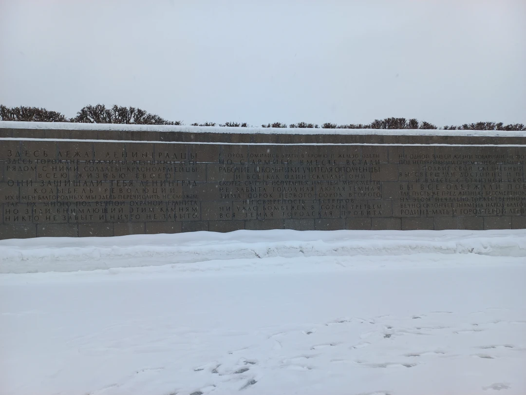 Экскурсия отличная! Увидели здания, которые в блокадные годы имели свою ценность: дом, где нашли Таню Савичеву;