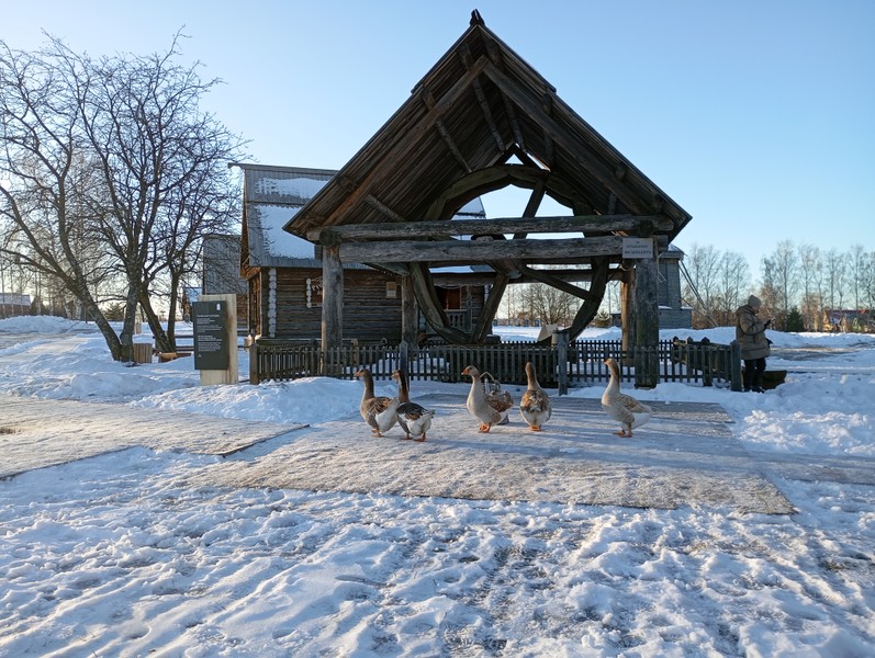 Самобытный Суздаль - из Нижнего Новгорода