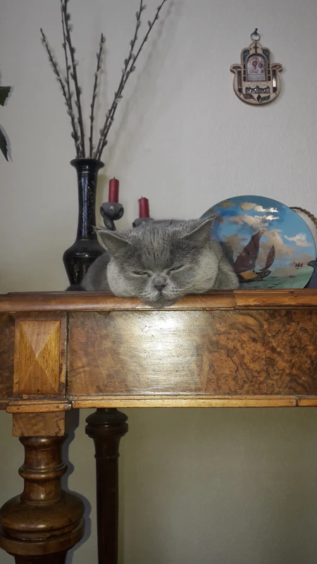 Святыни Мцхеты и тбилисские дворики