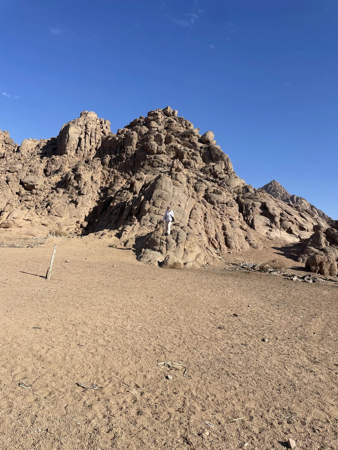 Отлично покатались, всем советую. Гид посоветовала утреннее время для катания, не жарко, меньше туристов