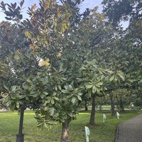 Фото отзыва 1: экскурсия "Нескучный Сочи для всей семьи — в индивидуальном формате"