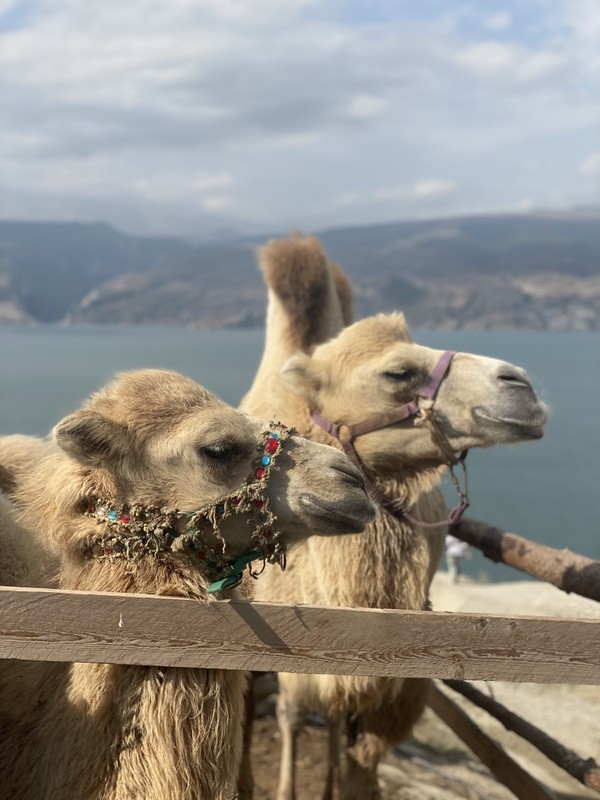 Виды Увлекательное знакомство с Дагестаном: Сулакский каньон и бархан Сарыкум
