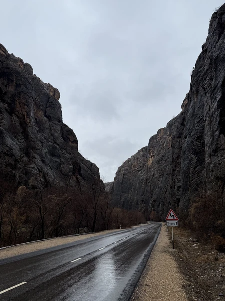 Замечательная поездка! Ирина и Сурен замечательная команда, с огромным удовольствием провели в поездке целый день. Интеллигентные