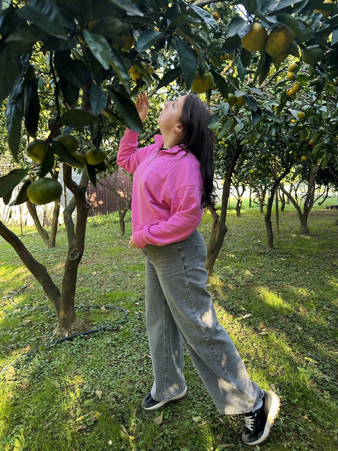 Думаю, что экскурсии лучше, чтобы состоялось первое знакомство с красивой и гостеприимной Абхазией, не придумаешь!