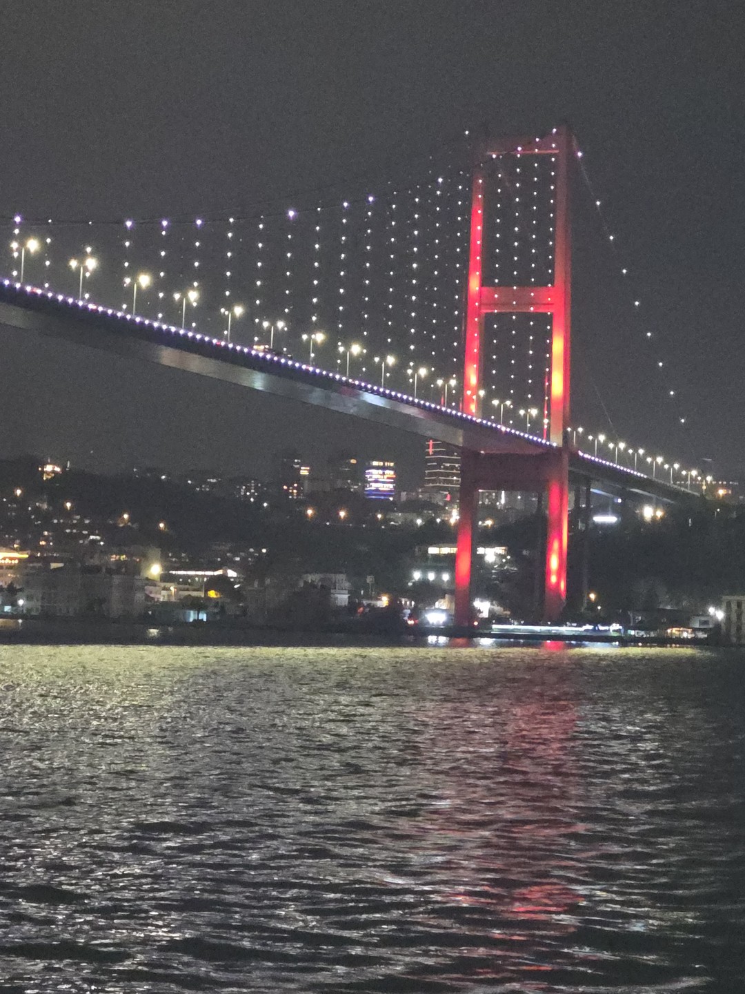 Вечерний круиз по Босфору с шоу-программой (Мария)