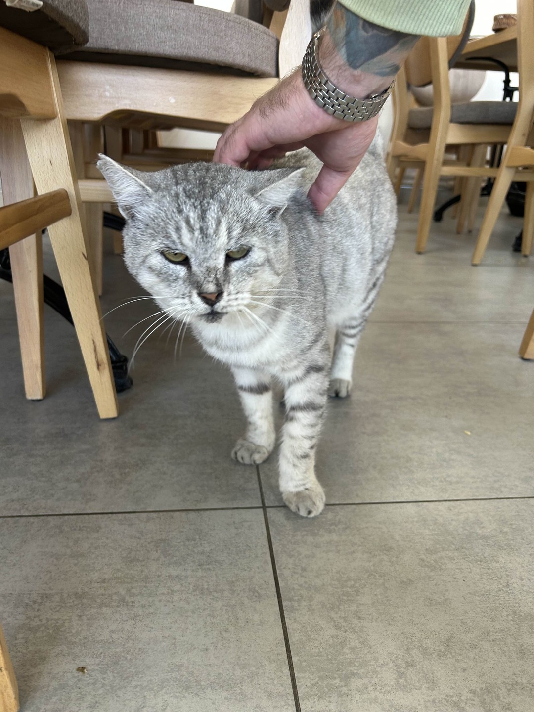 Были на экскурсии 15.10