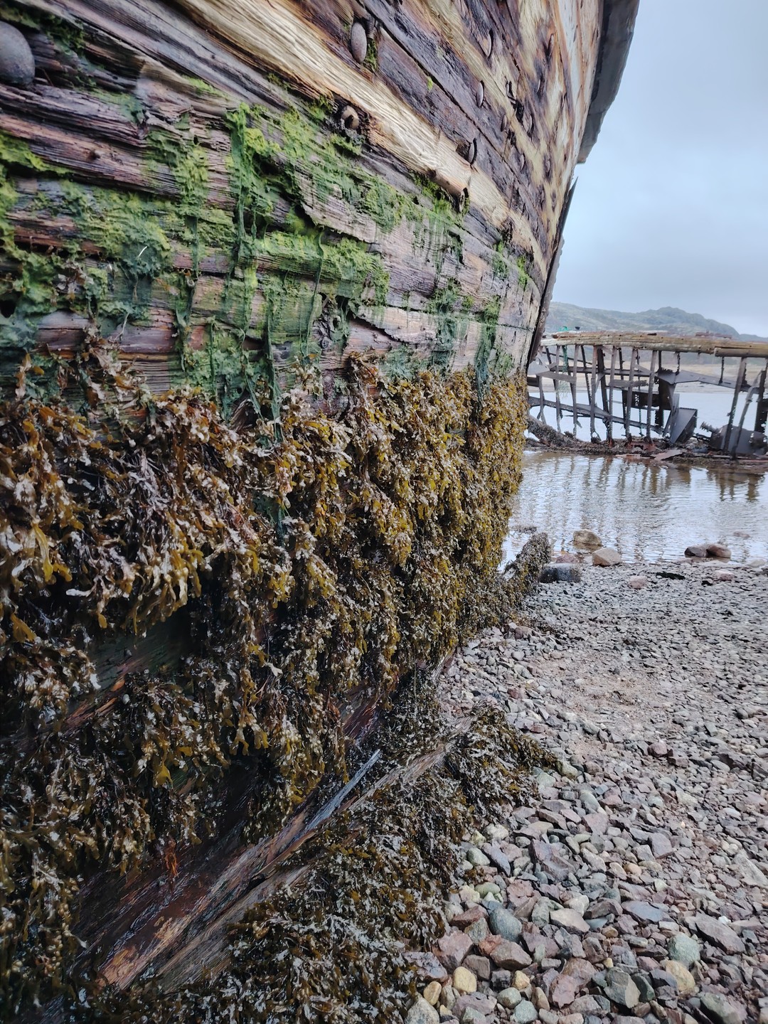 Буквально час назад вернулись после экскурсии с гидом Никитой. Было отлично! Во-первых, заранее сообщили все детали
