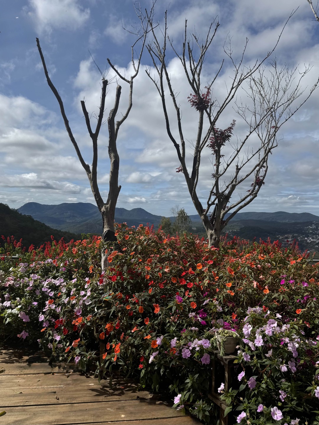 Замечательный гид Вячеслав! Отличная организация путешествия!