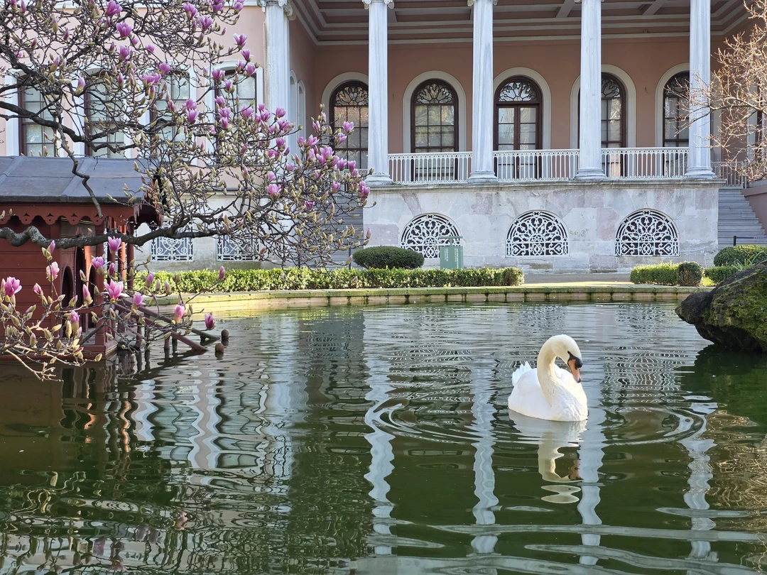 Очень понравилась экскурсия. Такое красивое место. На мой взгляд обязательно к посещению. Большое спасибо гиду Атаджану