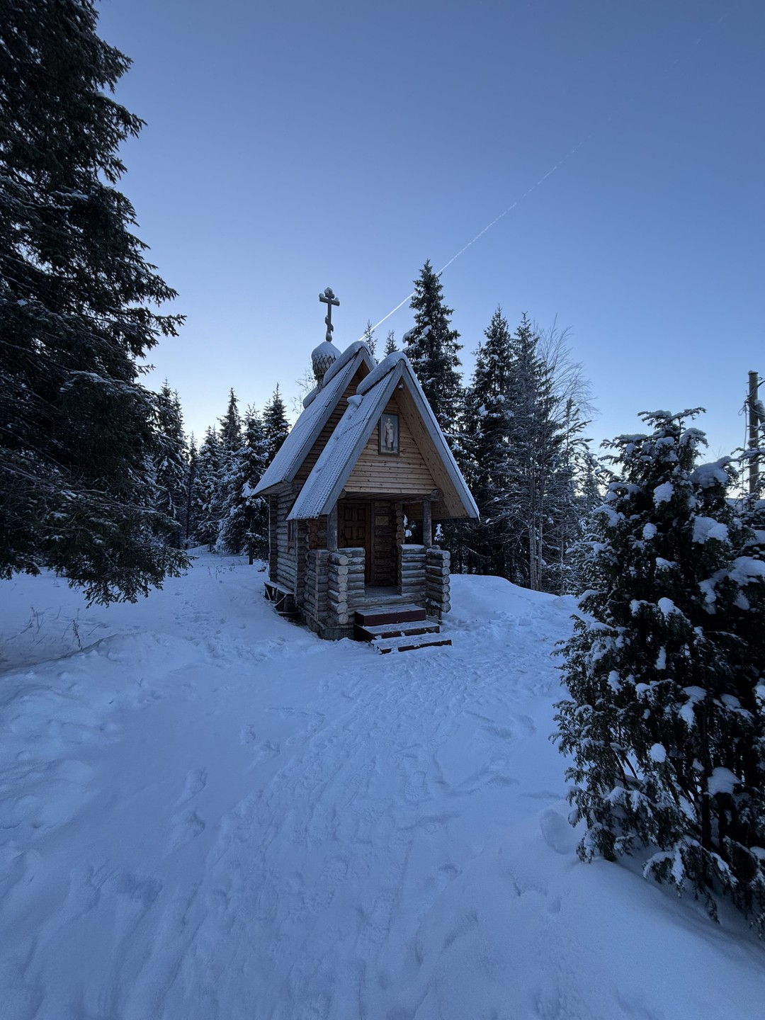 Зимняя природа Севера! После поездки и не знаю, что может быть прекраснее! Дмитрий был нашим гидом