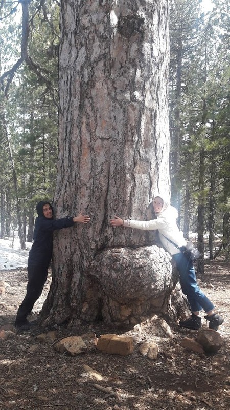 Кипр - страна, где обожают детей