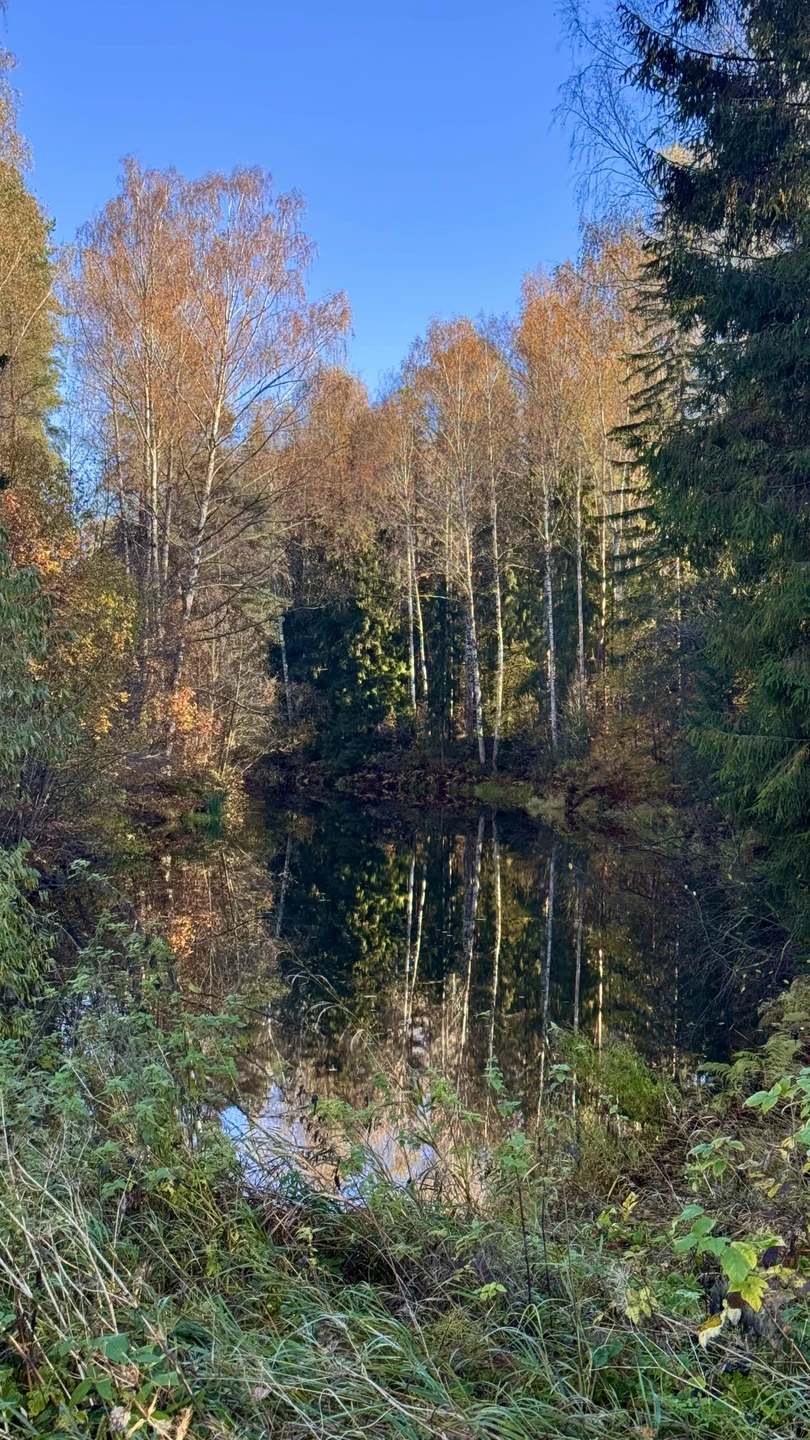 Павловск: царственная песнь его парков (Светлана)