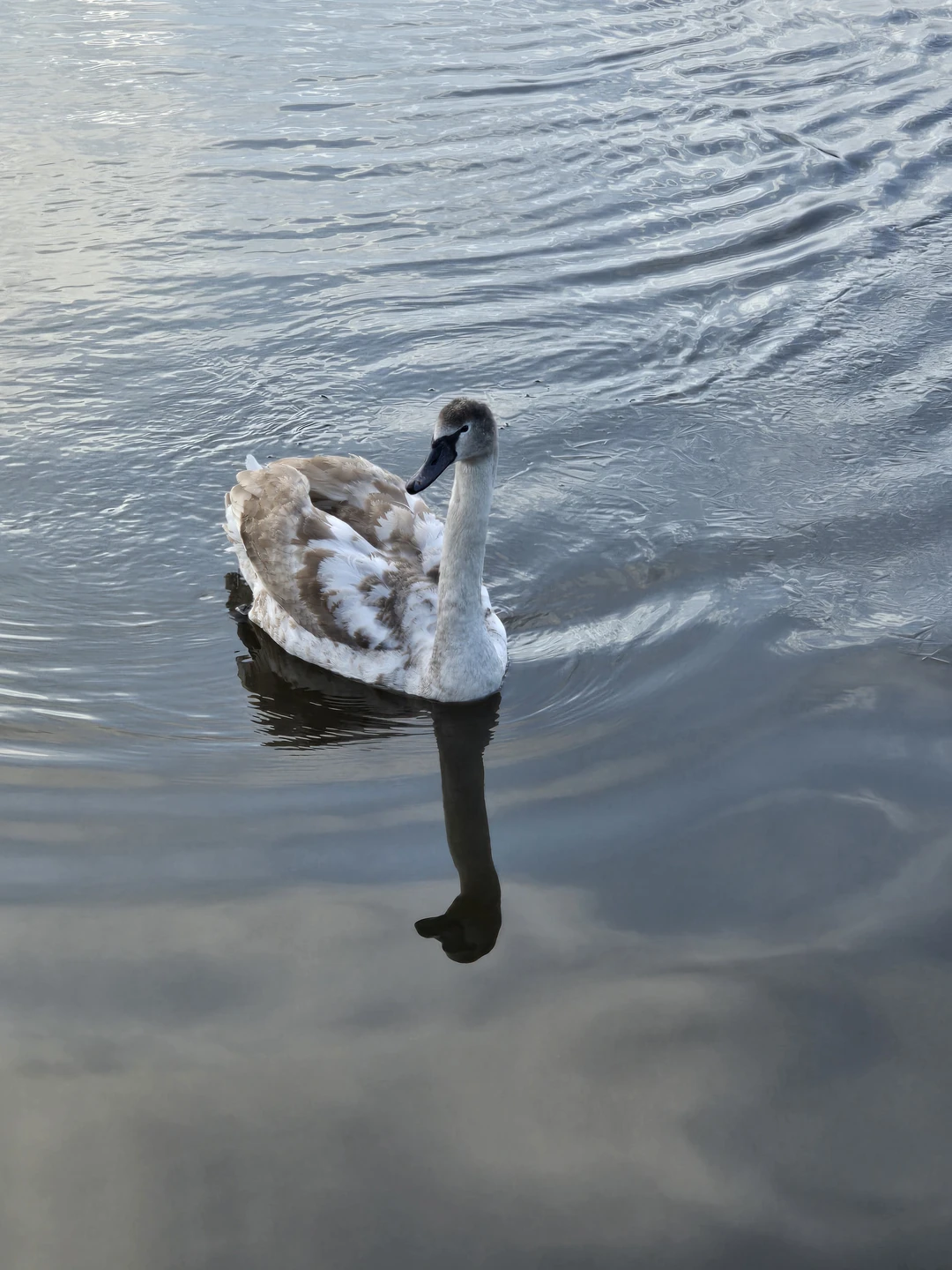 Экскурсия понравилась! Профессиональный рассказчик. Настоящий историк!))) экскурсия в форме квеста, что добавляет интереса