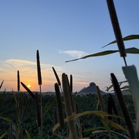 Фото отзыва 2: экскурсия "Закатное путешествие к неизвестным пирамидам Каира"