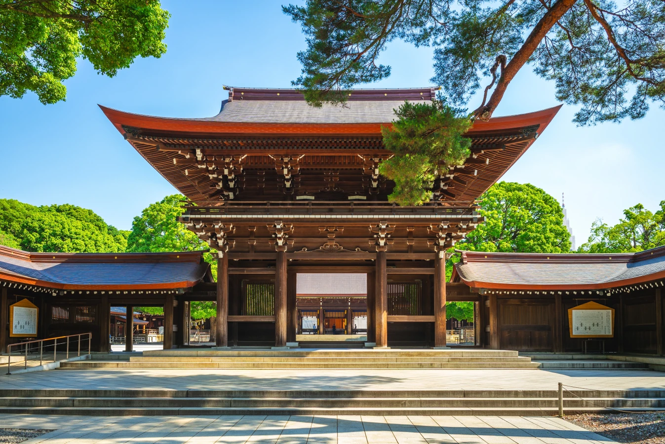 Лайфстайл-прогулка по Токио с местной жительницей