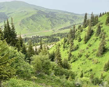 Переезд в горы