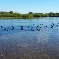 Фото отзыва 2: экскурсия "Знакомство с Красноярском"