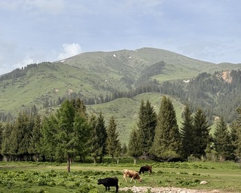 Жыргаланский каньон, прогулки в горах и ужин у камина