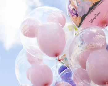 На весь день в Диснейленд