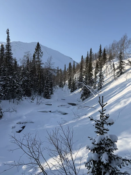 Глеб потрясающий! Не просто выдавал факты, а вплетал рассказ в диалог, отвечал на вопросы, со всей