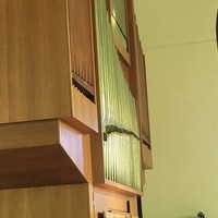 Фото отзыва 3: экскурсия "Загадочный район Городница + органный концерт"