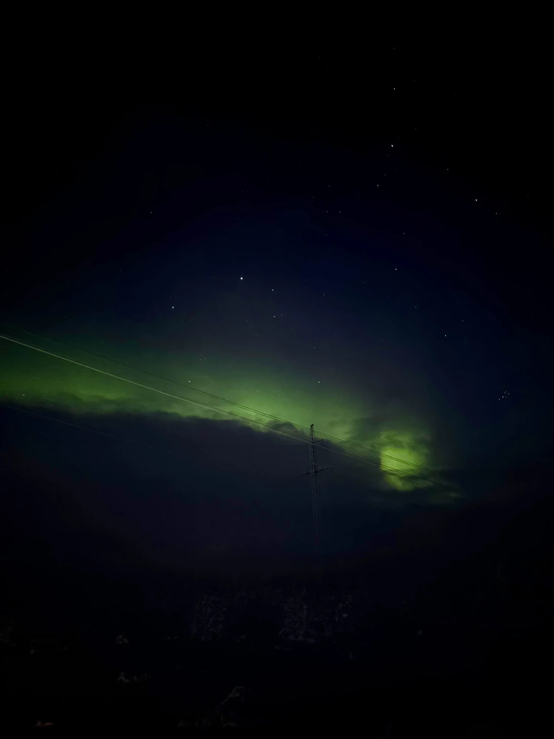 Были на экскурсии 25 ноября с гидом Александром, нам всё очень понравилось! Было оочень красиво, вкусно