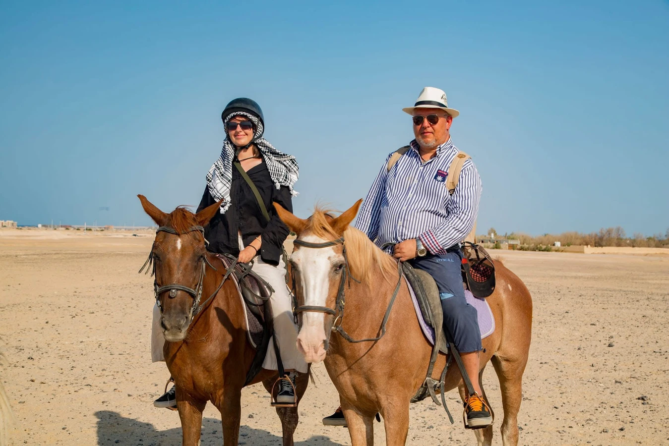 Прогулки на лошадях и верблюдах в Хургаде