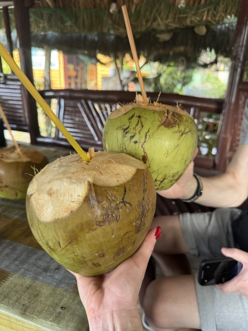 28 декабря мы отправились на экскурсию по Маниле и её окрестностям. В целом, день оставил положительные