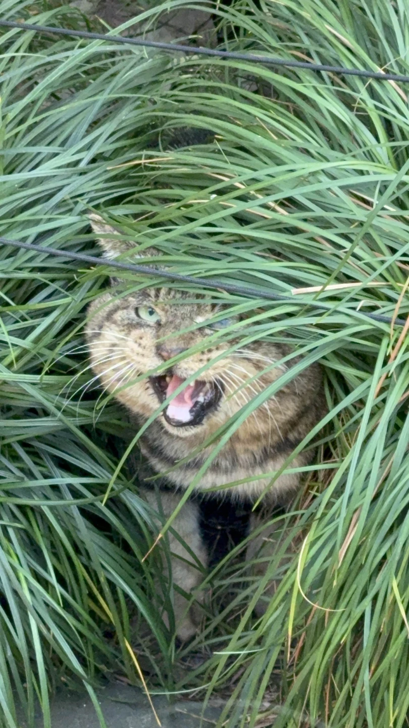 Из Шанхая - в прекрасный Сучжоу (Марина)