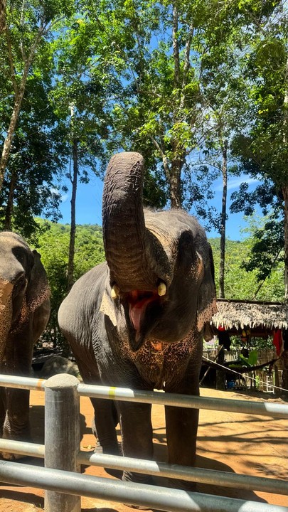 Настоящий Пхукет за 1 день (Женя)