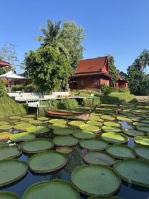 Фото отзыва 1: экскурсия ""