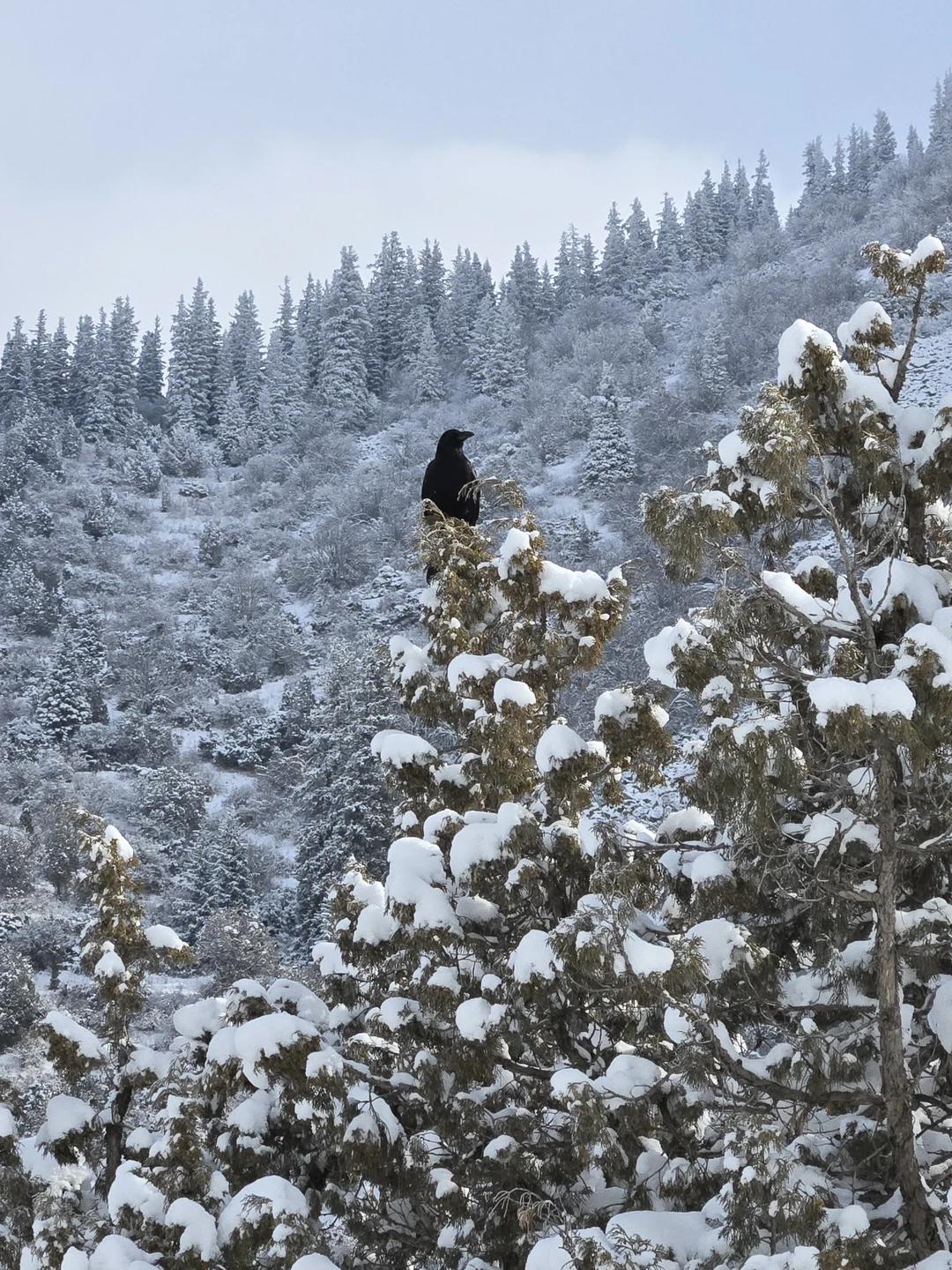 Прекрасная поездка, отличный гид, комфортный автомобиль - все было здорово, даже погода нам благоволила)