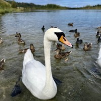 reviews img