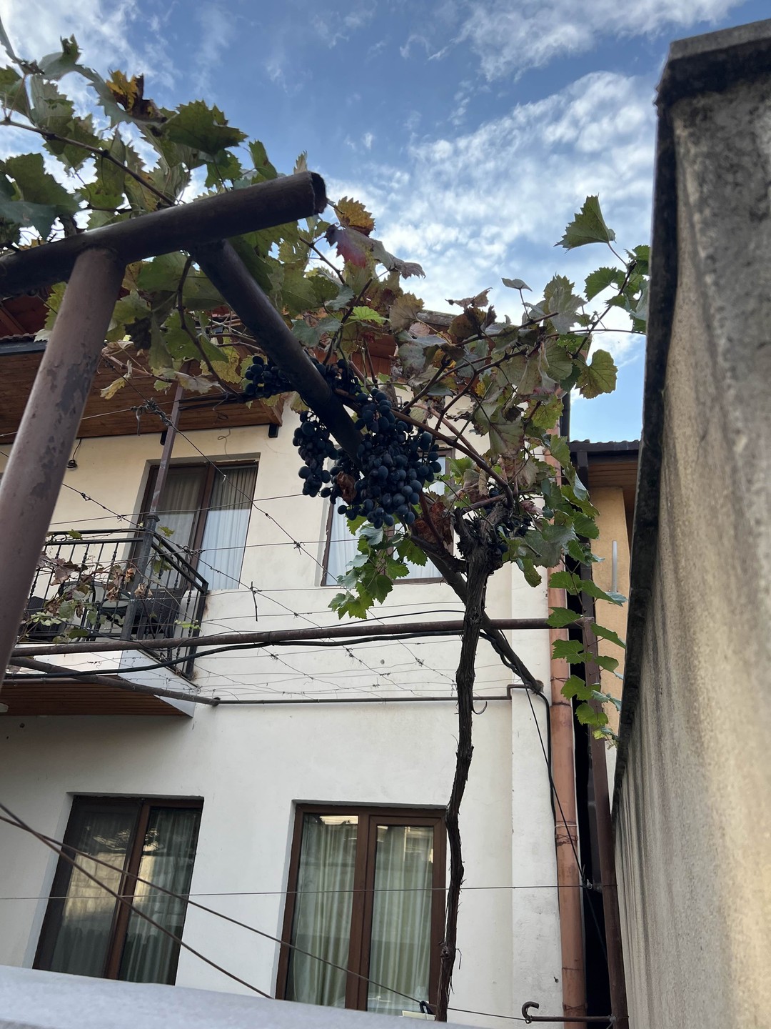 Древняя Мцхета, пещерный город Уплисцихе и дом-музей Сталина за 1 день (из Тбилиси) (Диана)