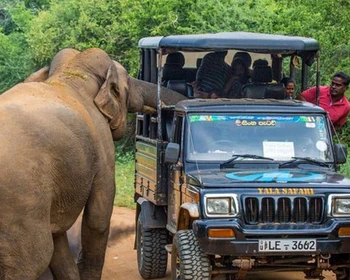 Водопад Равана, джип-сафари, прощальный ужин