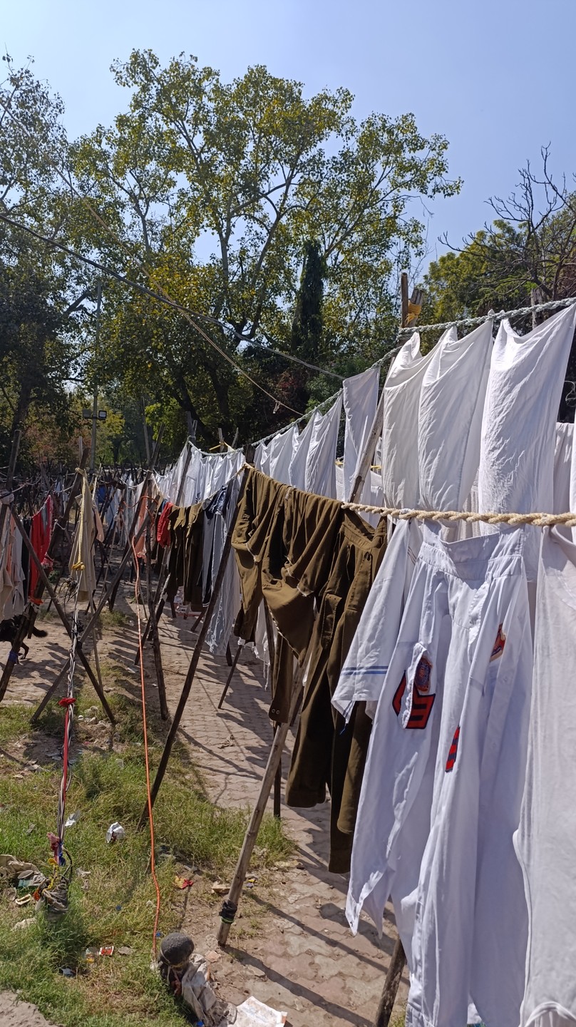 Дели: must-see-места и город за кулисами (Татьяна)