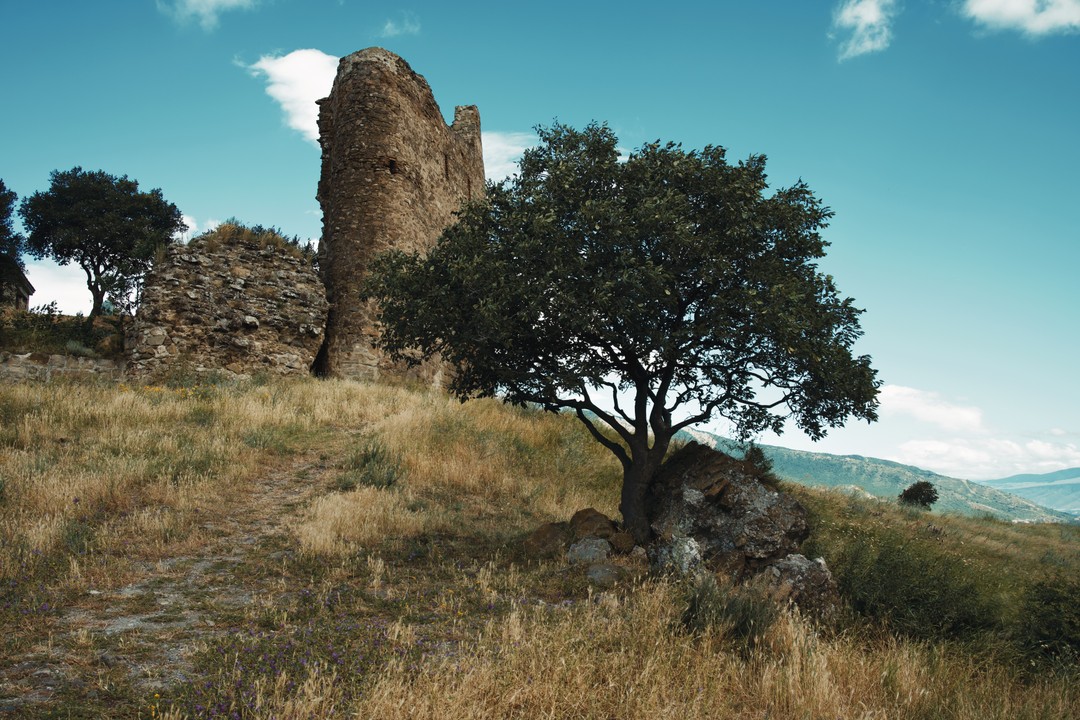 Мцхета, Шиомгвиме, Уплисцихе - обращение к истокам