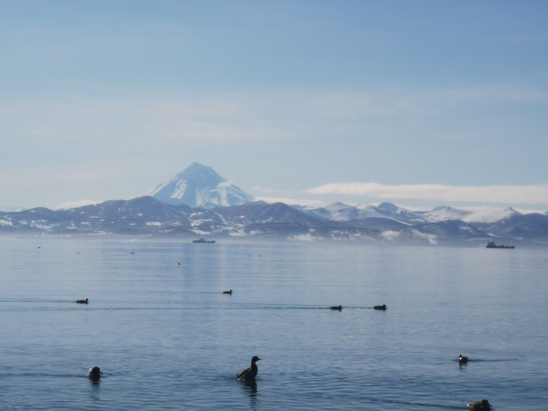 Я первый раз на Камчатке, и нам очень повезло с погодой в этот день. Небо прояснилось