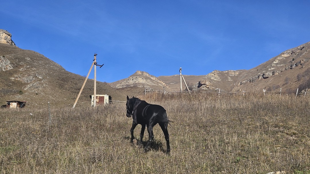 Восторг полный. Красота завораживает. Анзору огромное спасибо. С таким гидом и опытным водителем можно ездить в