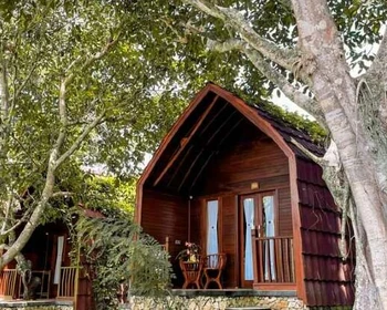 Фото отзыва 1: авторский тур "С Бали на остров Нуса Пенида: тур-перезагрузка только для вашей компании"