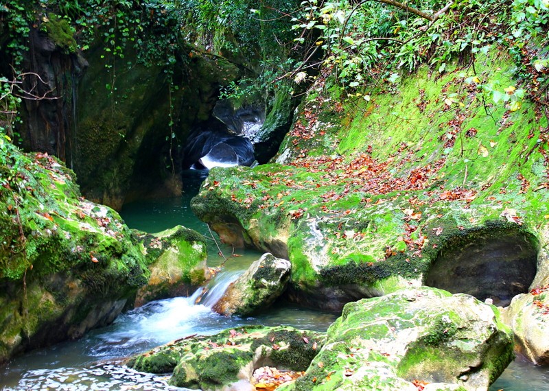 Абхазия встречает гостей: Гагра, Сухум, ущелье Черниговка и село Кындыг (из Адлера)