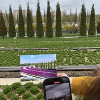 Фото отзыва 3: экскурсия "Квест-экскурсия по парку Галицкого"