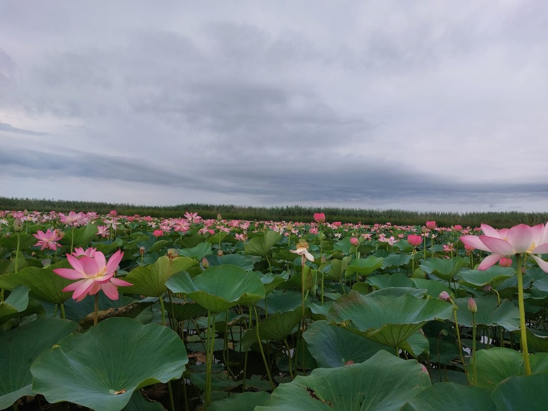 Ездили с друзьями. Всё очень понравилось. Спасибо большое организаторам.