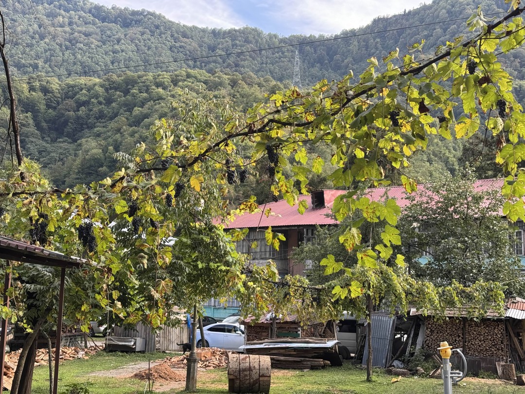Батуми и Горная Аджария за 1 день (Алтынай)